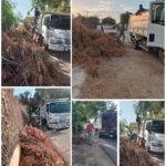 Ayuntamiento realiza operativo de recolección de ramas secas en el Distrito.