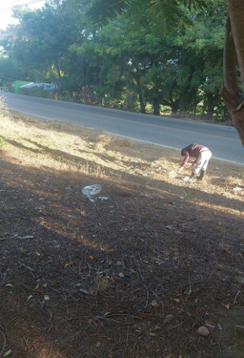 Junta Municipal de Cana Chapetón continúa operativo de limpieza en diversos sectores del distrito. 